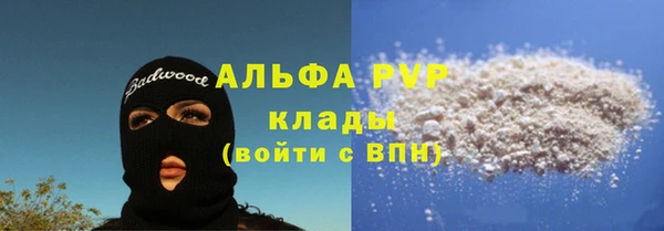 PSILOCYBIN Приозерск