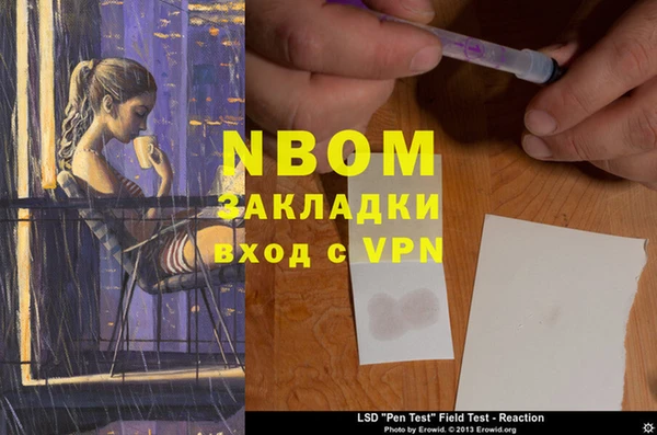 PSILOCYBIN Приозерск