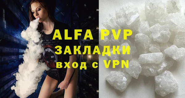 амф Заречный