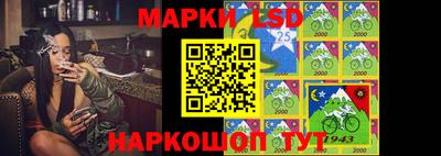 гидра Будённовск