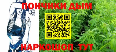 гидра Будённовск