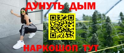 гидра Будённовск