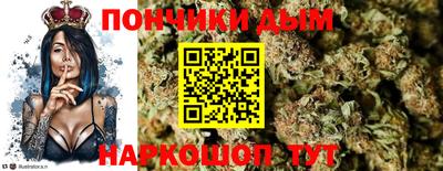 гидра Будённовск