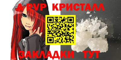 гидра Будённовск