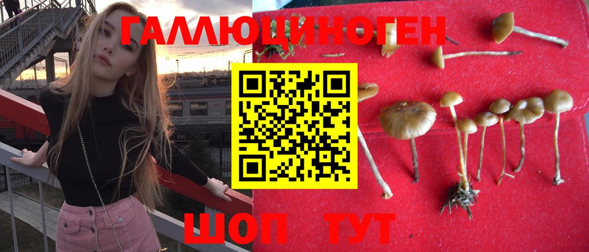 Псилоцибиновые грибы ЛСД Старая Купавна