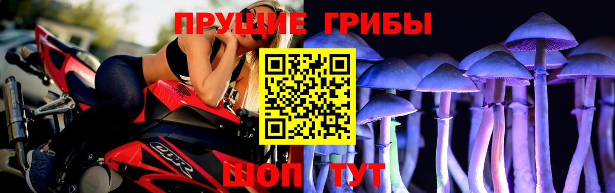 Псилоцибиновые грибы Cubensis Старая Купавна